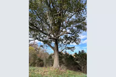 0 Harriett Road, Marshall Township, OH 45133 - Photo 7