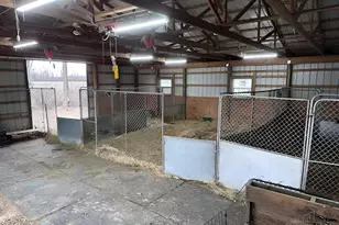 970 Macedonia Rd, Washington Twp, OH 45107 - Photo 61