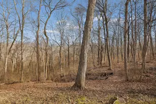 7967 Kimbee Dr, Anderson Township, OH 45244 - Photo 61