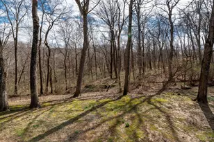 7967 Kimbee Dr, Anderson Township, OH 45244 - Photo 65