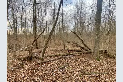 56 Sabina Road, Fairfield Twp, OH 45135 - Photo 9