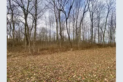 56 Sabina Road, Leesburg, OH 45135 - Photo 7