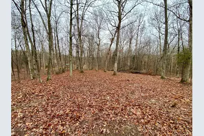 435 Rolling Woods Drive, West Union, OH 45693 - Photo 3