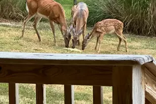 2673 St Rt 132, Ohio Township, OH 45157 - Photo 5