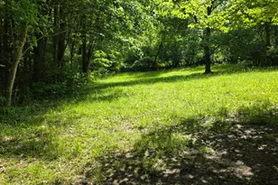 0 Fagins Run Rd, Pierce Township, OH 45157 - Photo 5