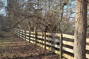 0 Fagins Run Rd, Pierce Township, OH 45157 - Photo 9