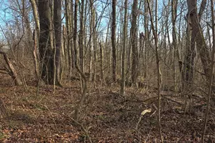 0 Fagins Run Rd, New Richmond, OH 45157 - Photo 7