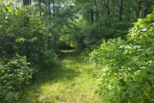 0 Fagins Run Rd, Pierce Township, OH 45157 - Photo 15