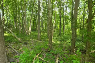 0 Fagins Run Rd, Pierce Township, OH 45157 - Photo 9