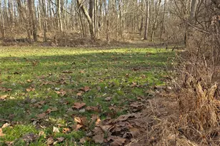 0 Fagins Run Rd, Pierce Township, OH 45157 - Photo 15