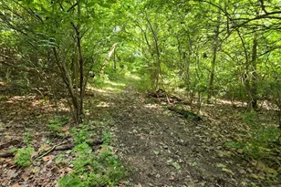 0 Fagins Run Rd, Pierce Township, OH 45157 - Photo 11