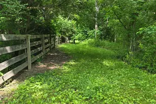 0 Fagins Run Rd, Pierce Township, OH 45157 - Photo 7