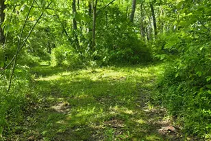 0 Fagins Run Rd, Pierce Township, OH 45157 - Photo 17