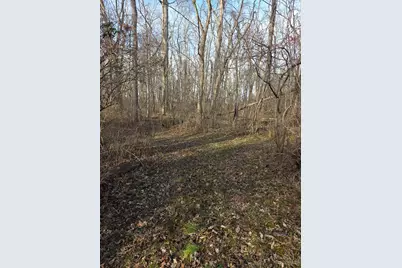 0 Fagins Run Road, New Richmond, OH 45157 - Photo 5