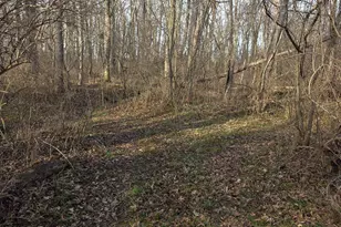 0 Fagins Run Rd, New Richmond, OH 45157 - Photo 5