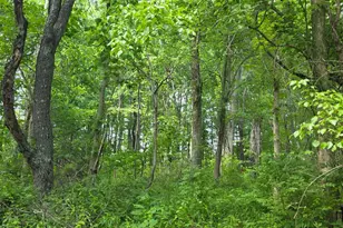 0 Fagins Run Rd, Pierce Township, OH 45157 - Photo 19
