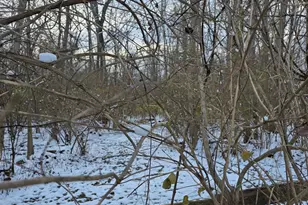 0 Fagins Run Rd, Pierce Township, OH 45157 - Photo 21