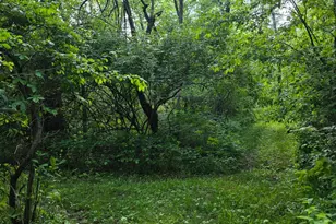 0 Fagins Run Rd, Pierce Township, OH 45157 - Photo 13