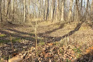 0 Fagins Run Rd, Pierce Township, OH 45157 - Photo 13