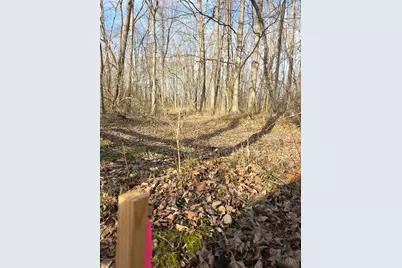 0 Fagins Run Road, New Richmond, OH 45157 - Photo 13