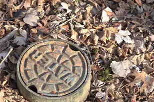 0 Fagins Run Rd, Pierce Township, OH 45157 - Photo 5