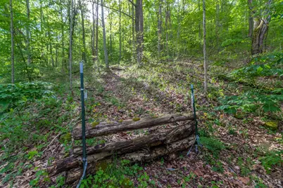 2432 Johnsons Run Road, Blue Creek, OH 45616 - Photo 13