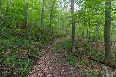 2432 Johnsons Run Road, Blue Creek, OH 45616 - Photo 15