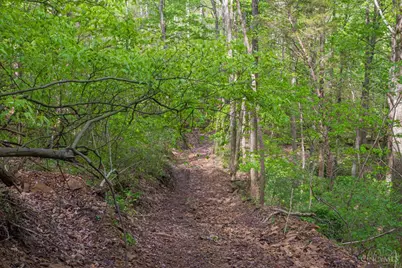 2432 Johnsons Run Road, Blue Creek, OH 45616 - Photo 11