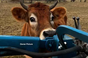 4957 Utica Rd, Clearcreek Twp., OH 45068 - Photo 63