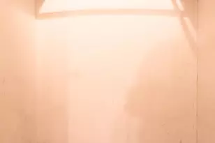 2637 Firtree Ct, Cincinnati, OH 45223 - Photo 17