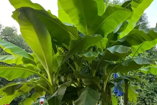 8850 Steeplechase, West Chester, OH 45069 - Photo 35