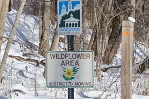 1919 Washburn St, Cincinnati, OH 45223 - Photo 45