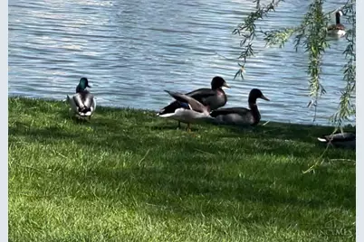 220 Gatehouse Court, Monroe, OH 45050 - Photo 45