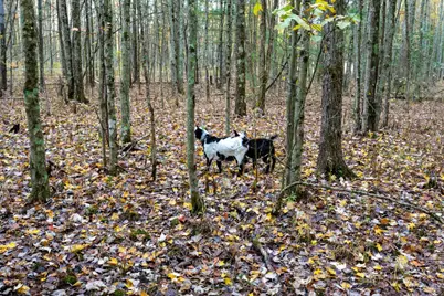 2914 Us-50, Fayetteville, OH 45118 - Photo 47