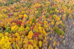 2914 US-50, Fayetteville, OH 45118 - Photo 49