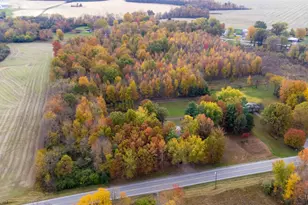 2914 US-50, Fayetteville, OH 45118 - Photo 51