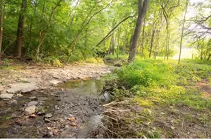 9986 Pond Woods Ln, Sharonville, OH 45241 - Photo 81