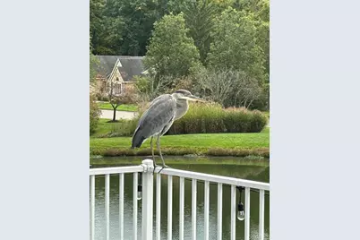 9986 Pond Woods Lane, Sharonville, OH 45241 - Photo 79