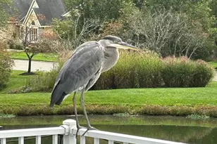 9986 Pond Woods Ln, Sharonville, OH 45241 - Photo 79