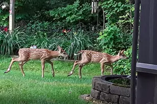 6323 Ashford Dr, Miami Township, OH 45140 - Photo 49