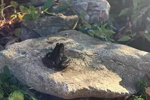 100 Broadway, Loveland, OH 45140 - Photo 55