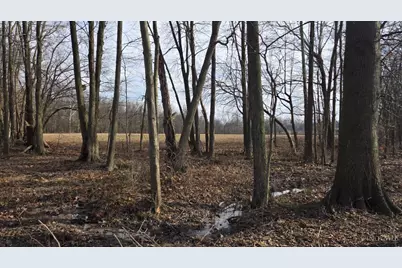 1 Greenbush West Road, Sterling Township, OH 45176 - Photo 9