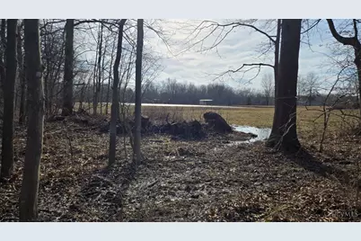 1 Greenbush West Road, Sterling Township, OH 45176 - Photo 11