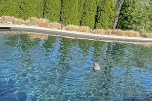 9428 Old Bridge Dr, Washington Twp, OH 45458 - Photo 53