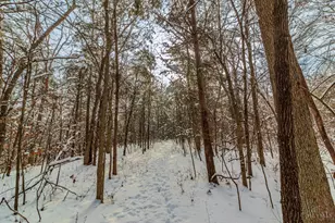 4060 Brier Ridge Rd, Liberty Twp, OH 45693 - Photo 11