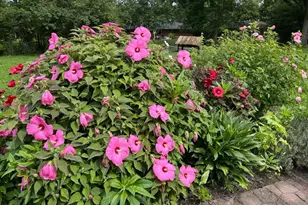 1754 W Loveland Ave, Loveland, OH 45140 - Photo 7