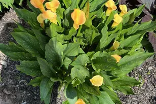 1754 W Loveland Ave, Loveland, OH 45140 - Photo 9