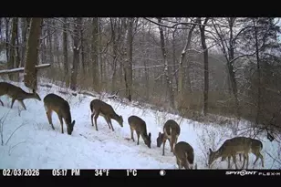 6551 Cleves Warsaw Pike, Delhi Township, OH 45233 - Photo 31