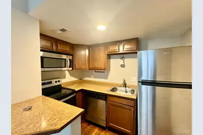 974 Dana Avenue, Cincinnati, OH 45229 - Photo 67