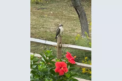 5007 Bogey Court, Turtle Creek Township, OH 45036 - Photo 49